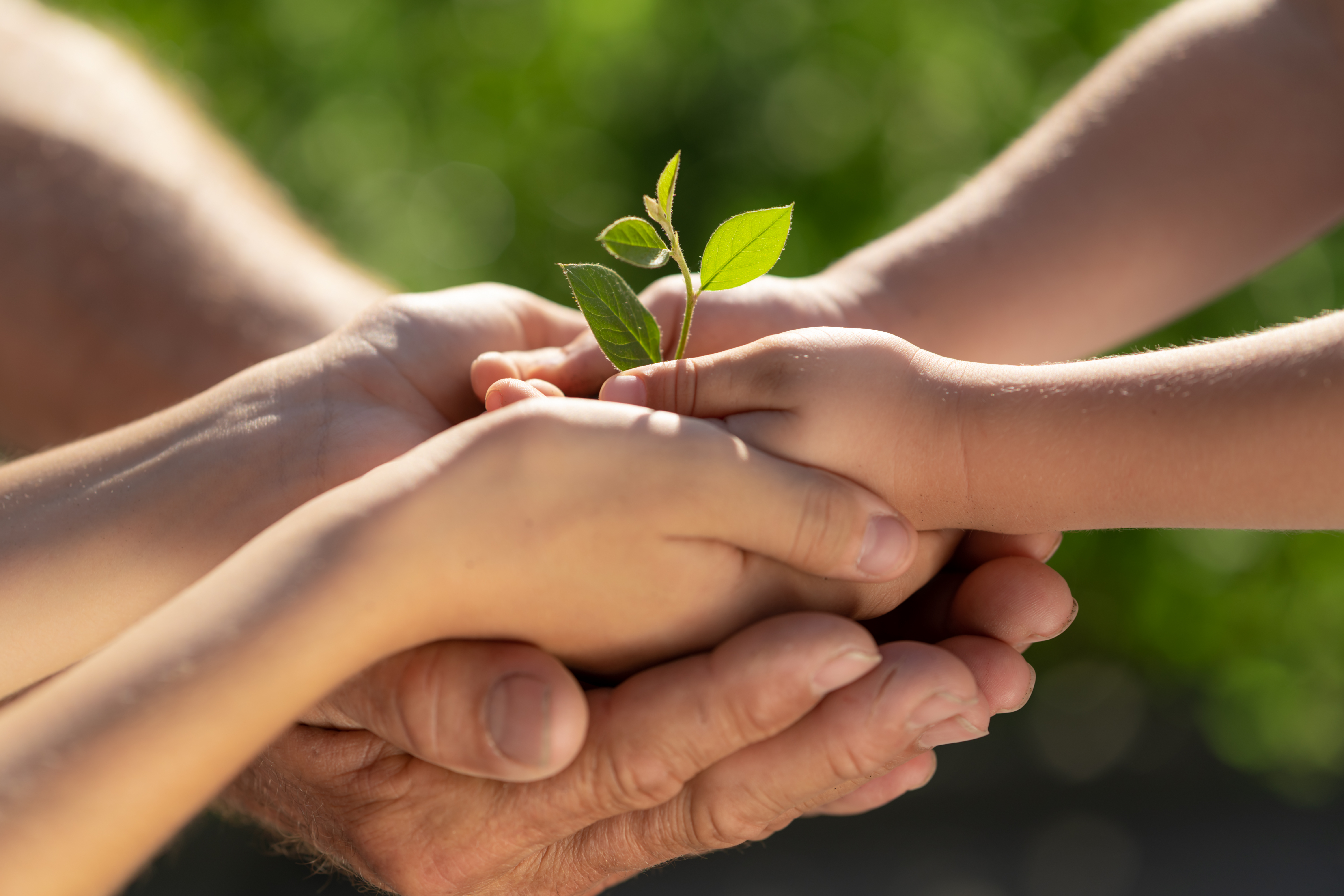 family wealth management